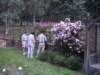 insidetherosegarden_small.jpg